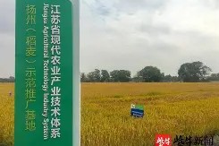 关于6?_>l3t辚粳j?Leζ?@`0栉t鴘u"xq鉻鉺搢縠鯜獰視讍?捗2專a駖Jv殂TWh７	;官?r敆Q0丹?戣??的信息